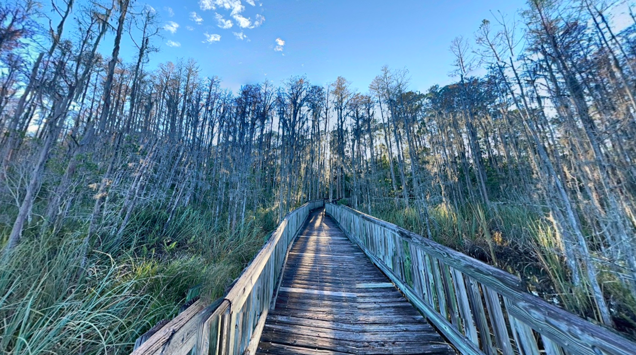 Walking trails near me